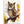 a3cbe1b7-fa7f-46b2-b7cc-167bef1a9886