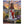 bcfeb077-f8aa-4b1d-8358-4819663625e3