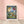 f994a658-616e-49ac-a539-cc95673c41fb